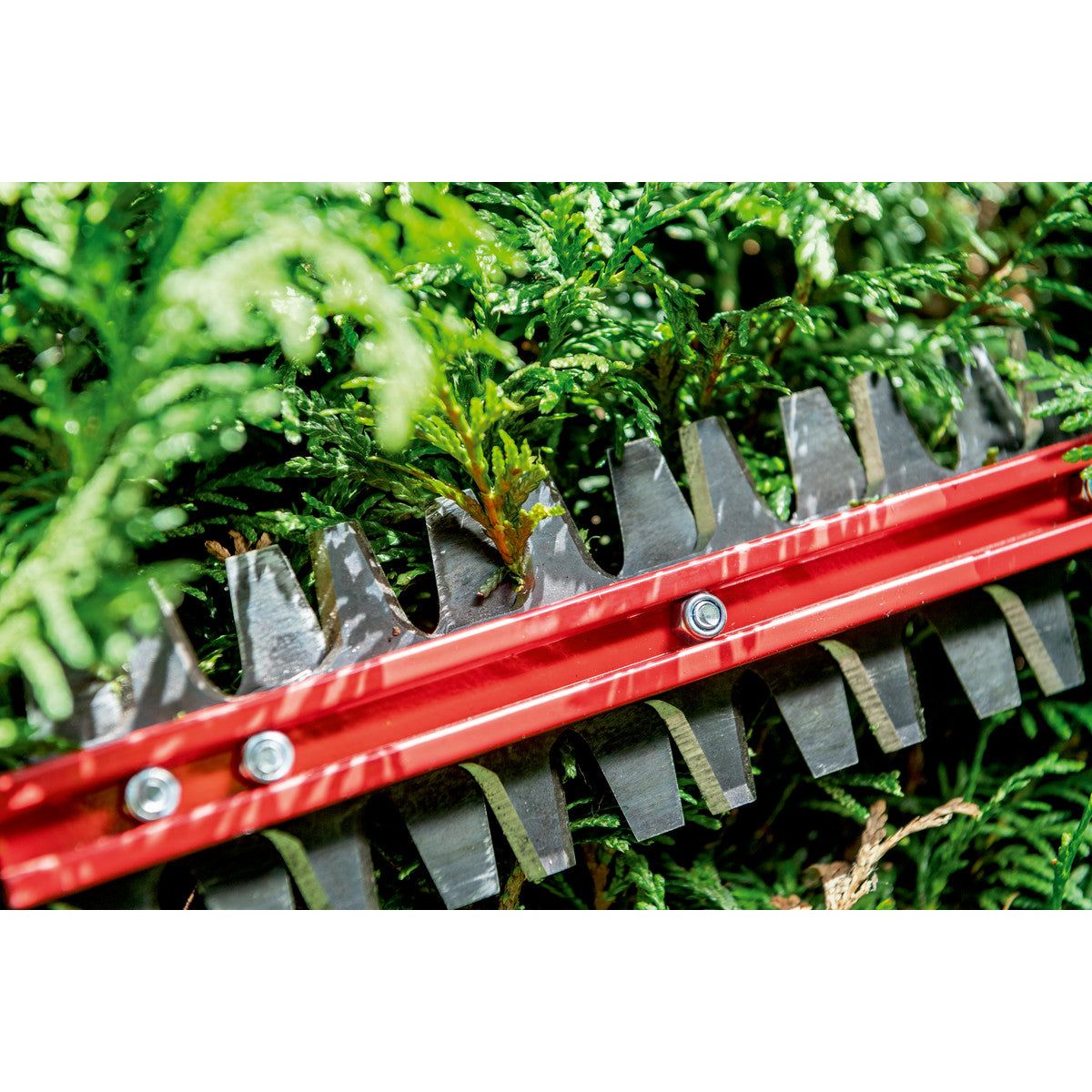HS 18 LTX BL 75 Taille-haie sans fil Metabo