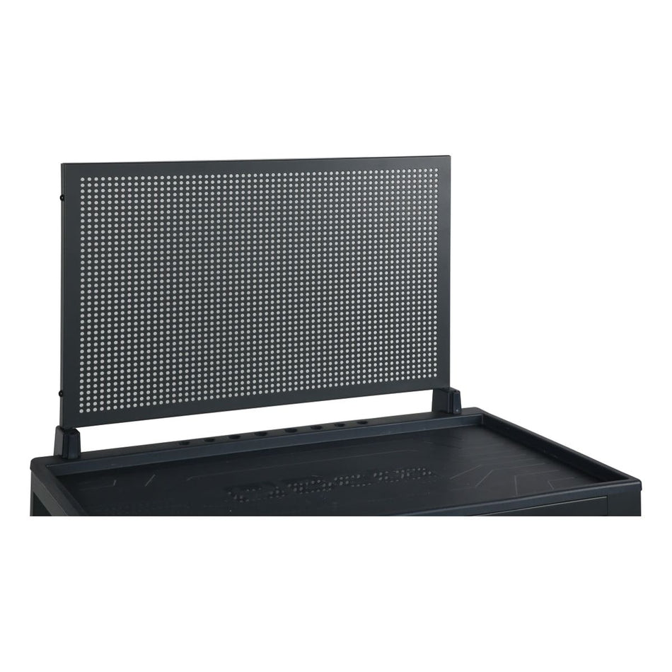 Panneau porte-outils perforé avec supports, pour servantes RSC24 2400 RSC24/PF